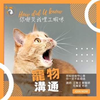 【寵樂體系冬季課程】寵物溝通12小時課程!手把手教學!(台北班)